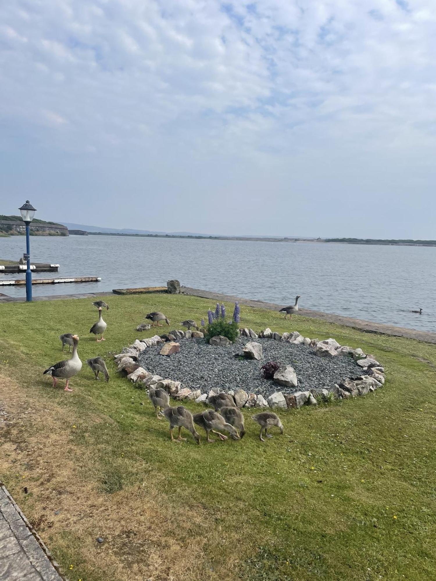 Lake View 92 Millom Ngoại thất bức ảnh